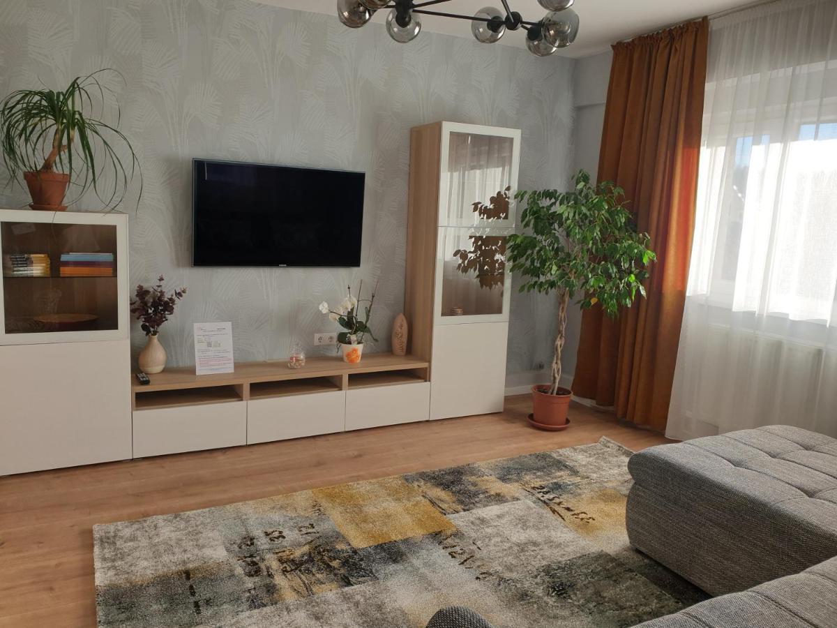 City Apartment Cipariu クルージュ＝ナポカ エクステリア 写真